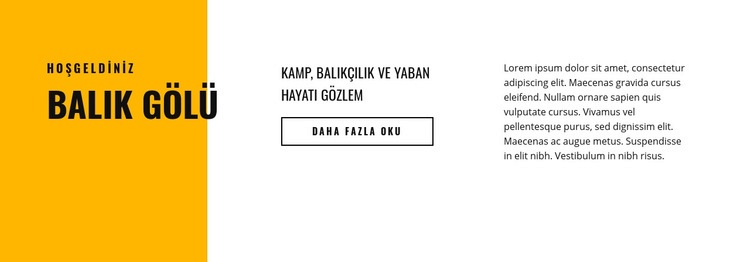 Balık gölü Web Sitesi Mockup'ı