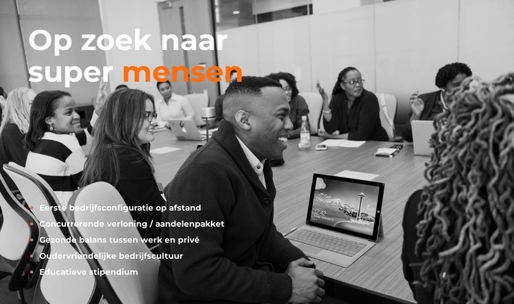 Teambijeenkomst Website ontwerp