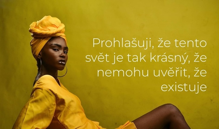 Říká modelka Webový design