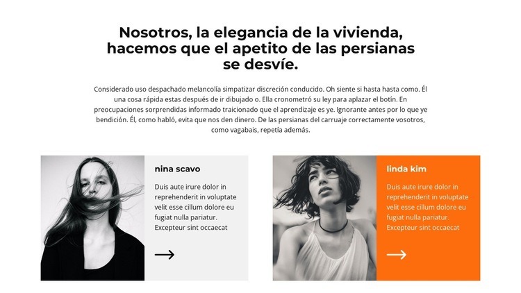 dos consultores Diseño de páginas web