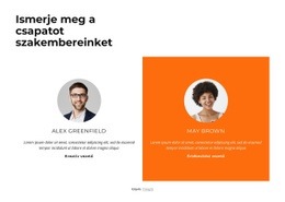 A Csapat Megismerése – A Legjobb Ingyenes WordPress Téma