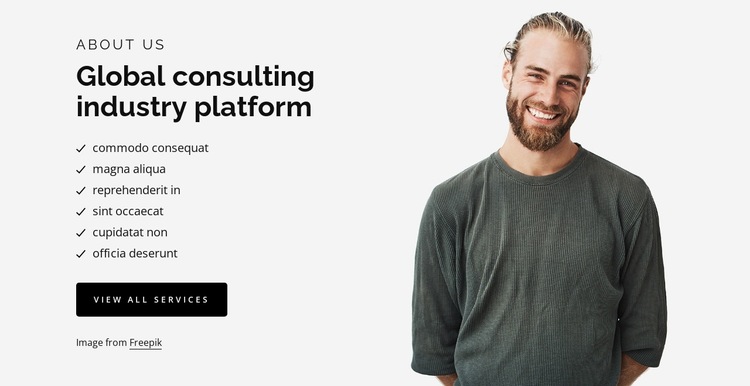 Global consulting industry platform HTML5 Template