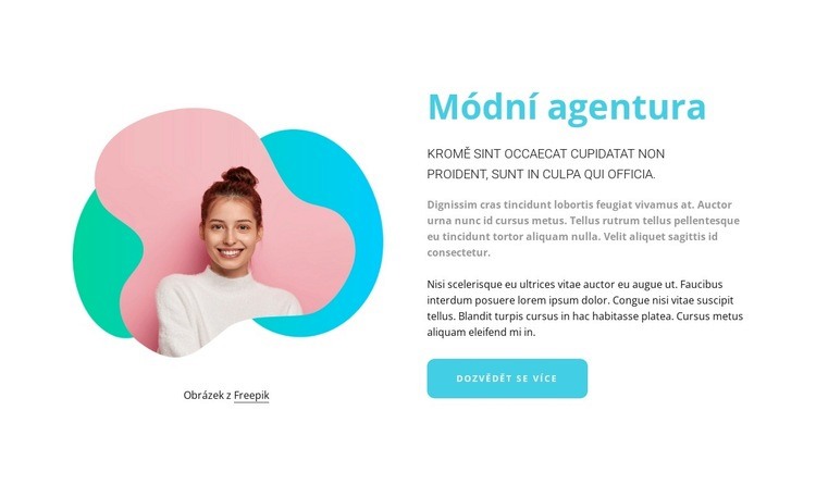 Správa modelek Šablona CSS