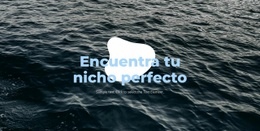 El Mejor Diseño De Sitio Web Para Nicho Perfecto