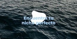 Nicho Perfecto - Tema De WordPress