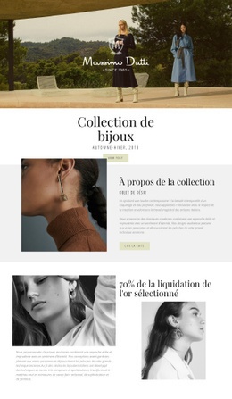 Superbe Conception De Site Web Pour Massimo Dutti