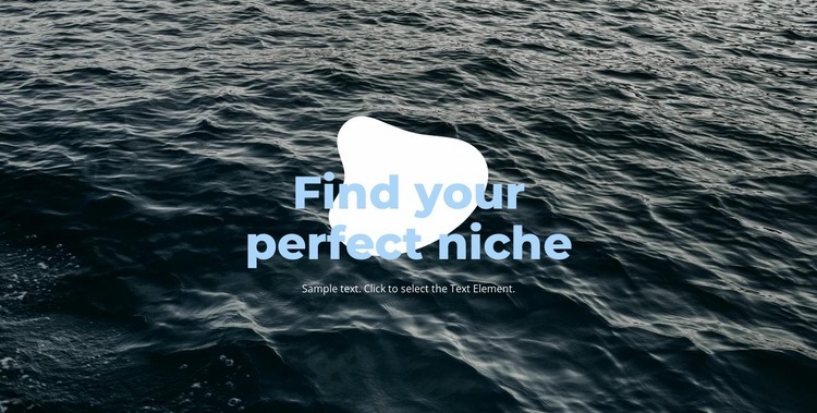 Perfect niche Homepage Design