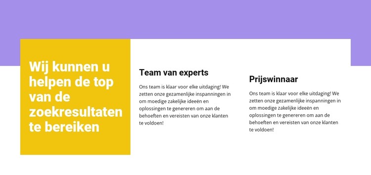 Professionele medewerkers CSS-sjabloon