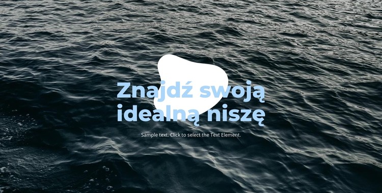 Idealna nisza Szablon CSS