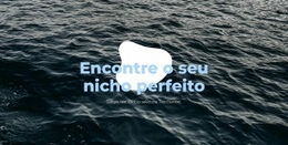 Nicho Perfeito