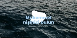 Mükemmel Niş Için HTML Sayfası