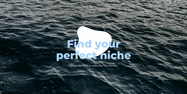 Perfect niche Ecommerce Website Design