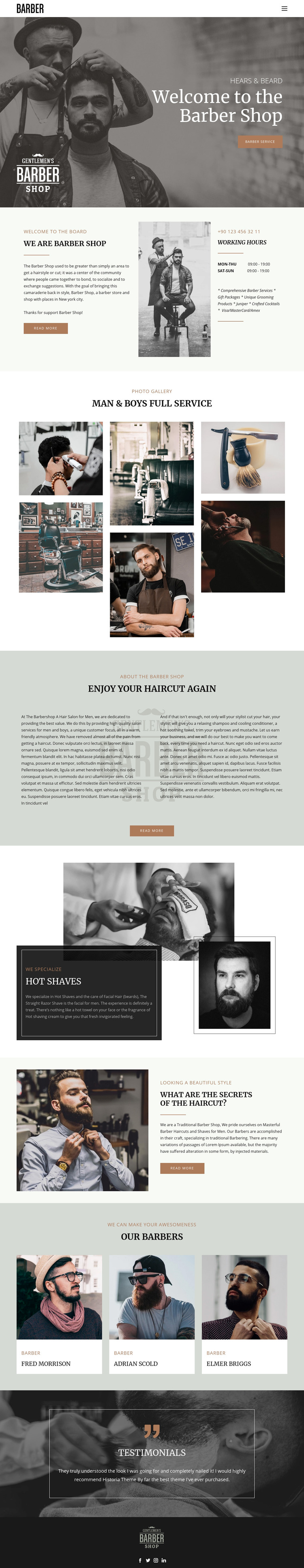 Quality haircuts and hairstyles  Elementor Template Alternative