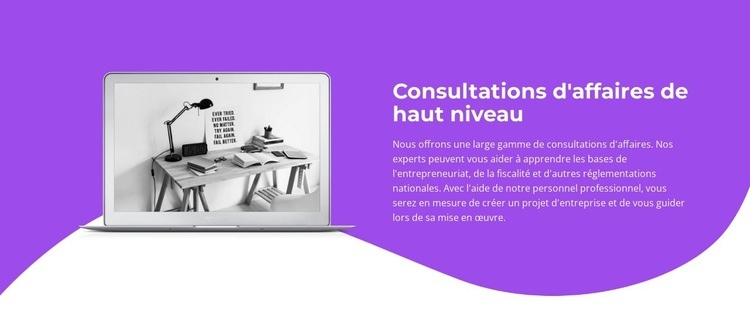 Conseils aux entreprises Conception de site Web