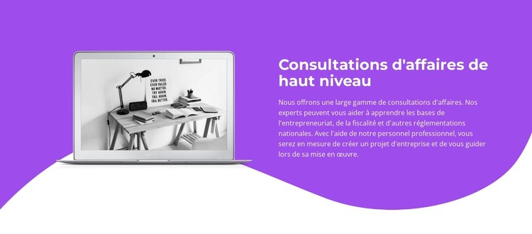 Conseils aux entreprises Modèle CSS