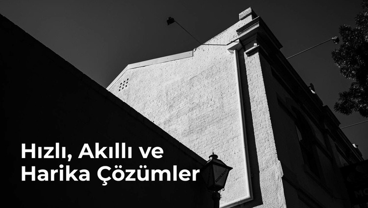 Akıllı ve Harika Web sitesi tasarımı