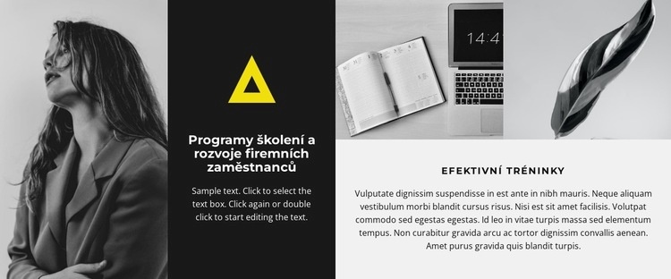 Osobní styl a profesionální potřeby Šablona CSS