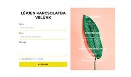 Kapcsolatfelvételi Űrlap