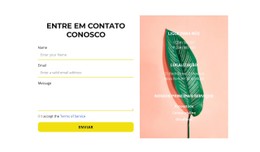 Formulário De Contato