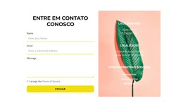 Designer De Produto Para Formulário E Contatos Na Foto