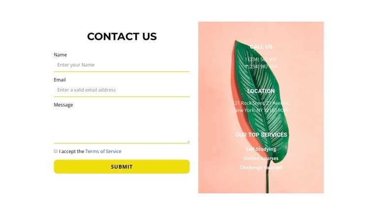 Form and contacts in the photo Squarespace Template Alternative