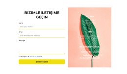 Fotoğraftaki Form Ve Kişiler - Web Sitesi Şablonları