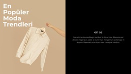 En Iyi Ipek Şeyler Için Çarpıcı WordPress Teması