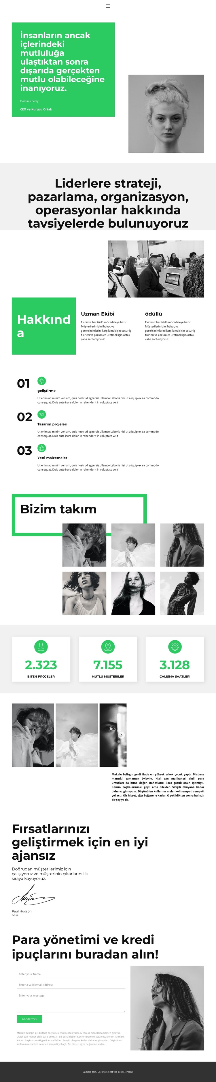 Birlikte daha iyi çalışmak WordPress Teması