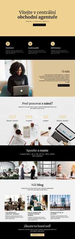 Šablona Webu Pro Centrální Digitální Agentura
