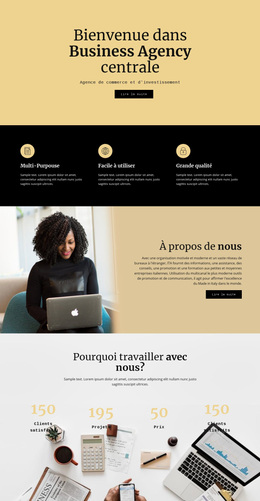 Agence Numérique Centrale – Thème WordPress