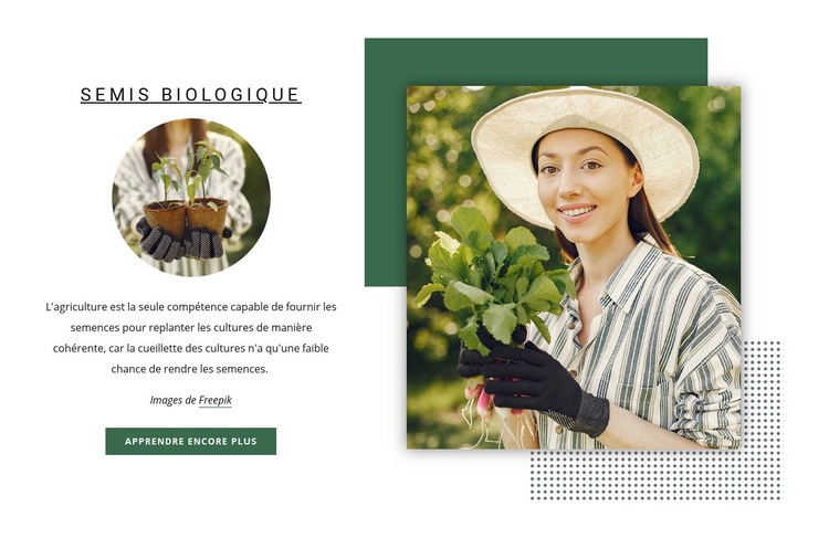 Plantule biologique Maquette de site Web