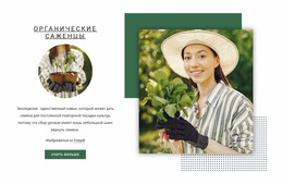 Шаблон Joomla Для Органическая Рассада