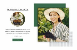 Ekologisk Planta Gratis CSS-Webbplatsmall