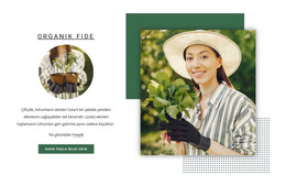 Organik Fide HTML Şablonu