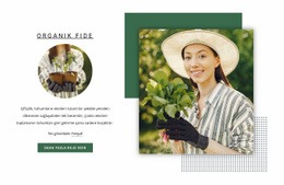 Organik Fide - Duyarlı Web Sitesi Şablonları