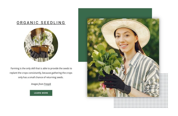 Organic seedling Web Page Design