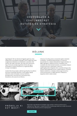 Fejlesztési Stratégia – Tökéletes Webhelytervezés