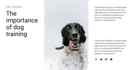 How To Raise A Dog Free CSS Template