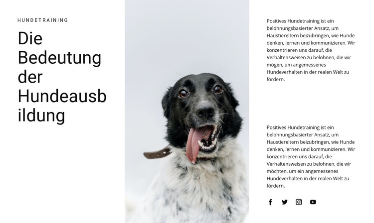 Wie man einen Hund großzieht HTML5-Vorlage