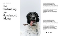 Wie Man Einen Hund Großzieht Haustierwebsite-Vorlage