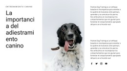 Cómo Criar Un Perro Plantilla CSS Gratuita
