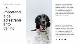 Cómo Criar Un Perro - Plantilla HTML5