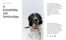 Hogyan Neveljünk Kutyát - Websablon