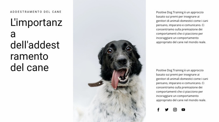 Come allevare un cane Modelli di Website Builder