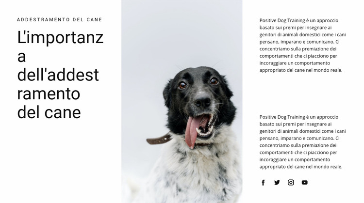 Come allevare un cane Modello Joomla