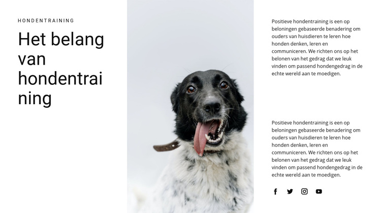 Hoe een hond groot te brengen WordPress-thema