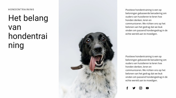 Hoe een hond groot te brengen Website mockup