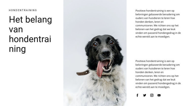 Hoe een hond groot te brengen Website sjabloon