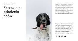 Jak Wychować Psa - Responsywne Szablony Stron Internetowych