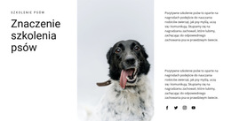 Jak Wychować Psa